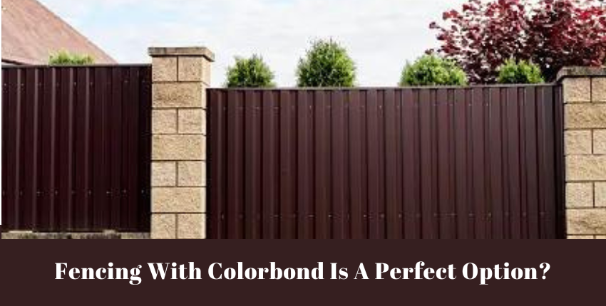 What Makes Colorbond Fencing The Perfect Option For Fencing?