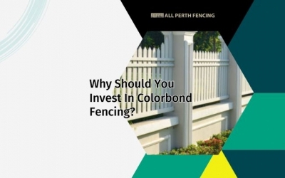 What Makes Colorbond Fencing The Best Choice For Fencing?
