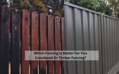 What’s A Superior Fencing Material Colorbond Or Timber Fencing?