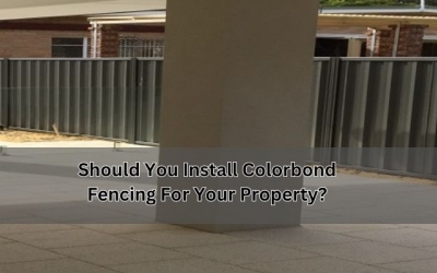 Why Should You Install Colorbond Fencing For Your Perth Property?